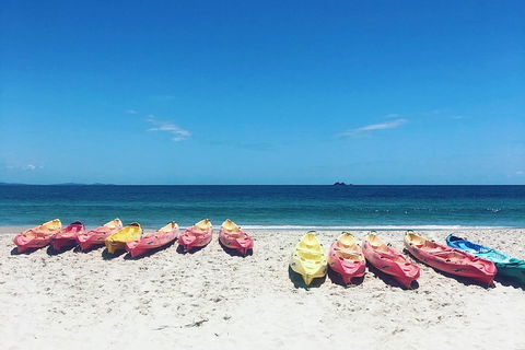 Kayaking With Dolphins In Byron Bay Guided Tour - Accommodation Nelson Bay 1