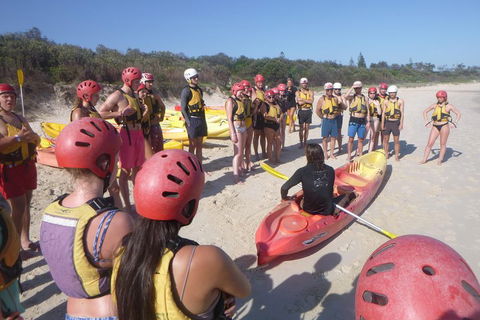 Kayaking With Dolphins In Byron Bay Guided Tour - Accommodation Nelson Bay 2