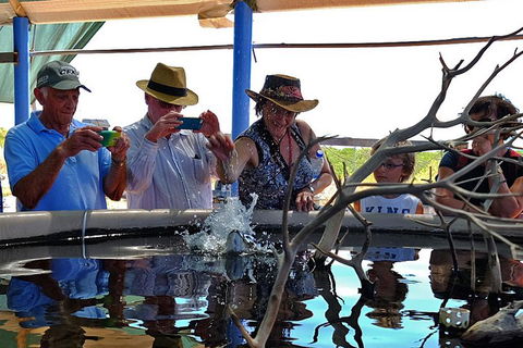 Cape Leveque 4WD Tour From Broome With Optional Return Flight - Accommodation Nelson Bay 0