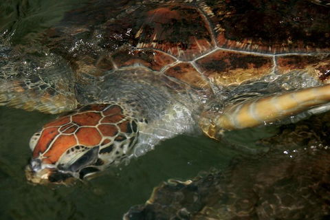 Cape Leveque 4WD Tour From Broome With Optional Return Flight - Accommodation Nelson Bay 2