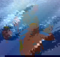 12-Day Great Barrier Reef Marine Conservation Program from Cairns - Accommodation Nelson Bay