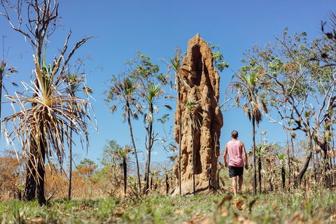 Litchfield National Park Waterfalls And Wildlife Tour From Darwin - Nelson Bay Accommodation.com 4