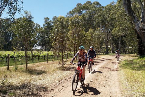 McLaren Vale Wine Tour By Bike - Accommodation Nelson Bay 1