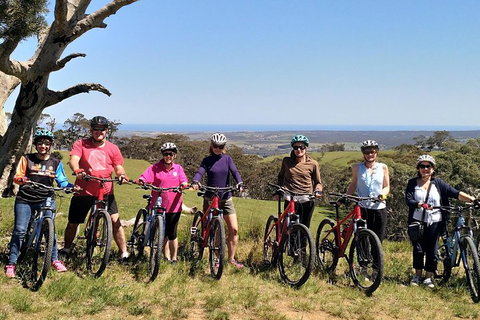 McLaren Vale Wine Tour By Bike - Accommodation Nelson Bay 2