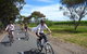 McLaren Vale Wine Tour By Bike - thumb 3