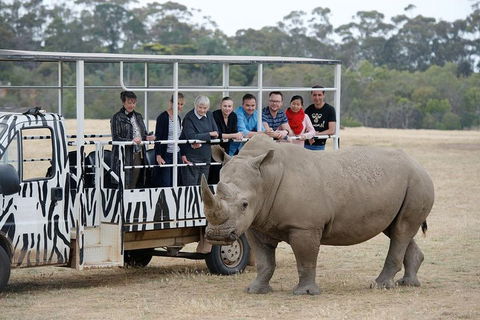 Off-Road Safari At Werribee Open Range Zoo - Accommodation Nelson Bay 0