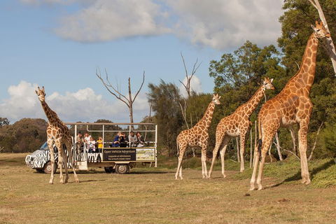 Off-Road Safari At Werribee Open Range Zoo - Accommodation Nelson Bay 3