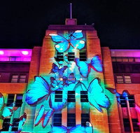 Vivid 90-Minute Sydney Harbour Small Group Catamaran Cruise - Accommodation Nelson Bay
