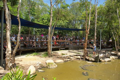 Hartley's Crocodile Adventures Breakfast With The Koalas - Accommodation Nelson Bay 1