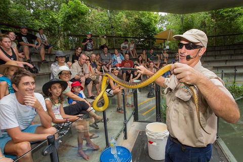 Hartley's Crocodile Adventures Breakfast With The Koalas - Accommodation Nelson Bay 3