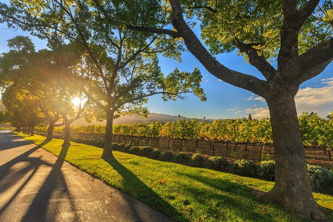 Very Best Of Perth Tour - Wildlife Park & City Highlights Tour - Accommodation Nelson Bay 2