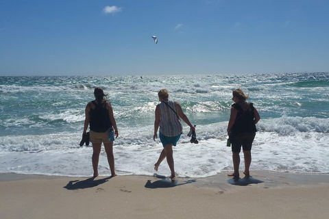 Very Best Of Perth Tour - Wildlife Park & City Highlights Tour - Accommodation Nelson Bay 5
