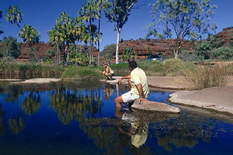Palm Valley 4WD Day Tour - Accommodation Nelson Bay 1