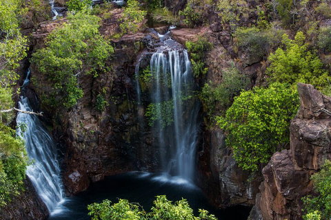 Litchfield National Park - Top End Day Tour From Darwin - Accommodation Nelson Bay 2