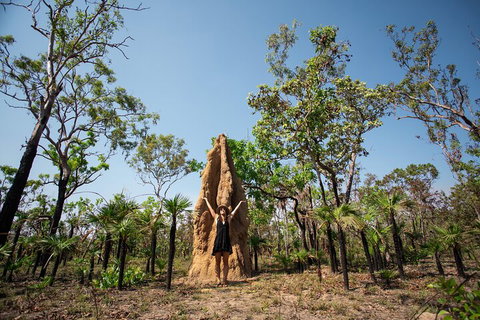 Litchfield National Park - Top End Day Tour From Darwin - Accommodation Nelson Bay 5