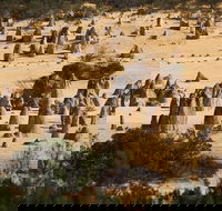 Pinnacles Sunset Dinner and Stargazing Experience a Small Group Tour - Accommodation Nelson Bay