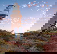 6-Day Coral Coaster from Perth to Exmouth One-Way via Monkey Mia Ningaloo Reef - Accommodation Nelson Bay