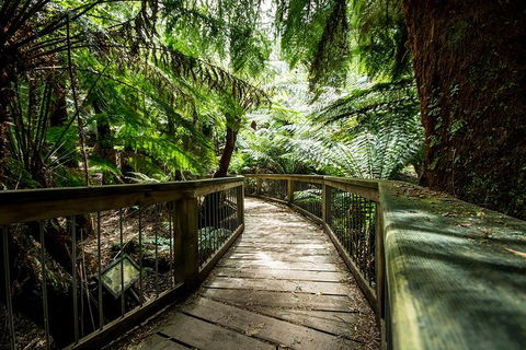 2-Day Great Ocean Road And Grampians Tour Roundtrip From Melbourne - Accommodation Nelson Bay 4