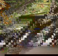 Adelaide Highlights Hahndorf  McLaren Vale Wine Tasting and Sightseeing Tour - Accommodation Nelson Bay