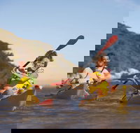 Kangaroo Island Self-Guided Kayaking on the Harriet River - Nelson Bay Accommodation.com