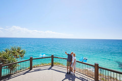 Noosa Everglades Serenity Cruise & Highlights Tour Inc. Lunch & Cruise - Accommodation Nelson Bay 3