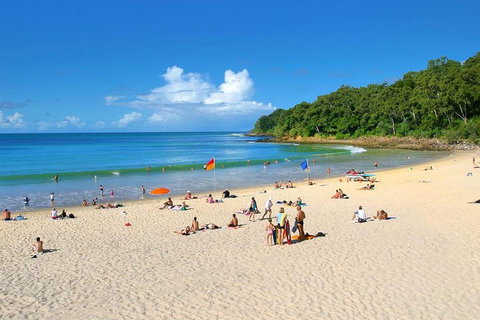 Noosa Everglades Serenity Cruise & Highlights Tour Inc. Lunch & Cruise - Accommodation Nelson Bay 4