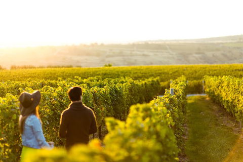 Margaret River Private Tour - Accommodation Nelson Bay 2