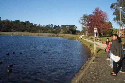 PRIVATE All-Day Blue Mountains Tour With Professional Guide For Up To 4 People - Accommodation Nelson Bay 2