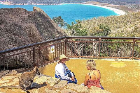 Wineglass Bay & Freycinet NP Full Day Tour From Hobart Via Richmond Village - Accommodation Nelson Bay 1