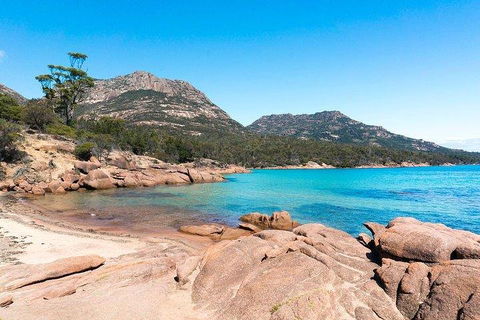 Wineglass Bay & Freycinet NP Full Day Tour From Hobart Via Richmond Village - Accommodation Nelson Bay 5