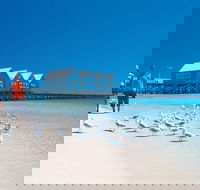 Margaret River and Geographe Bay Region Day Trip from Perth - Accommodation Nelson Bay