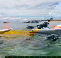 Seal Island and Penguin Island or Point Peron Sea Kayak Tour - Accommodation Nelson Bay