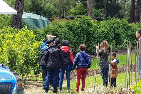 Dandenong Ranges And Rayners Orchard Tour From Melbourne - Accommodation Nelson Bay 4