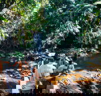 Aquaduck  Your choice of Gold Coast Rainforest Tour - Accommodation Nelson Bay