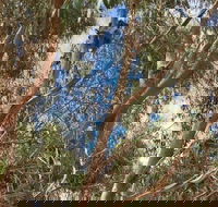 Kangaroo Island 4WD Tour - Best of KI in 2 Days - Nelson Bay Accommodation.com