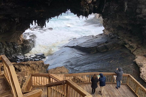 Kangaroo Island 4WD Tour - Best Of KI - Accommodation Nelson Bay 1