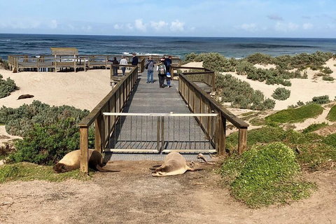 Kangaroo Island 4WD Tour - Best Of KI - Accommodation Nelson Bay 2