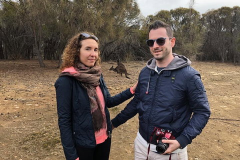 Kangaroo Island 4WD Tour - Best Of KI - Accommodation Nelson Bay 3