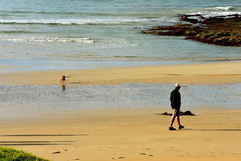 Ultimate Reverse Direction - 12 Apostles, Great Ocean Road - Small Group Tour - Accommodation Nelson Bay 1