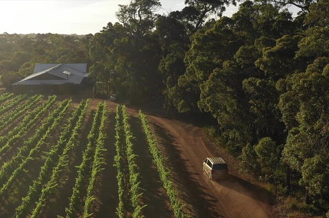 The All About Margaret River Tour: Wine, Coffee, Lunch And Forest - Accommodation Nelson Bay 1