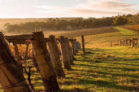 The All About Margaret River Tour: Wine, Coffee, Lunch And Forest - Accommodation Nelson Bay 5