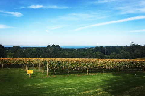 Yarra Valley Private Car Winery Tour And Chocolate.1-7 Passengers One Car Price - Accommodation Nelson Bay 0