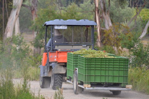 Yarra Valley Private Car Winery Tour And Chocolate.1-7 Passengers One Car Price - Accommodation Nelson Bay 1