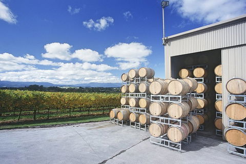Yarra Valley Private Car Winery Tour And Chocolate.1-7 Passengers One Car Price - Accommodation Nelson Bay 2
