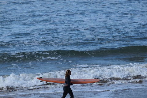 Private Day Tour Of Phillip Island Wildlife And Brighton Beach - Accommodation Nelson Bay 0