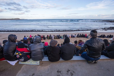 Private Day Tour Of Phillip Island Wildlife And Brighton Beach - Accommodation Nelson Bay 1