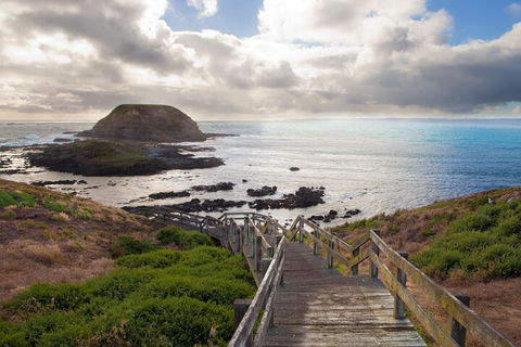 Private Day Tour Of Phillip Island Wildlife And Brighton Beach - Accommodation Nelson Bay 4