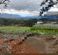 Yarra Valley Wine Tour inc lunch with a glass of wine tastings and chocolate - Accommodation Nelson Bay