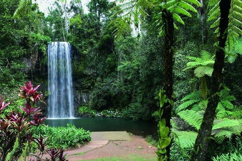 Paronella Park And Millaa Millaa Falls Full-day Tour From Cairns - Accommodation Nelson Bay 3