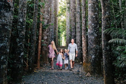 Paronella Park And Millaa Millaa Falls Full-day Tour From Cairns - Accommodation Nelson Bay 5